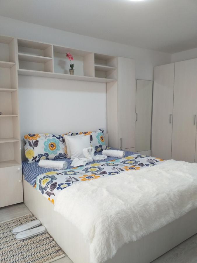 טימישוארה Epic Apartment מראה חיצוני תמונה