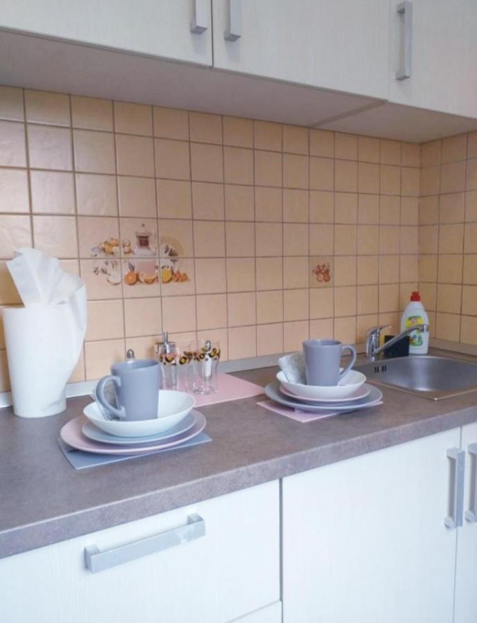 טימישוארה Epic Apartment מראה חיצוני תמונה